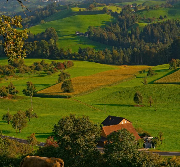 Deutschlandnetz-Vorstoß & ländliche Ladeinfrastruktur: Neue Schnellladeparks ab Juni 2025