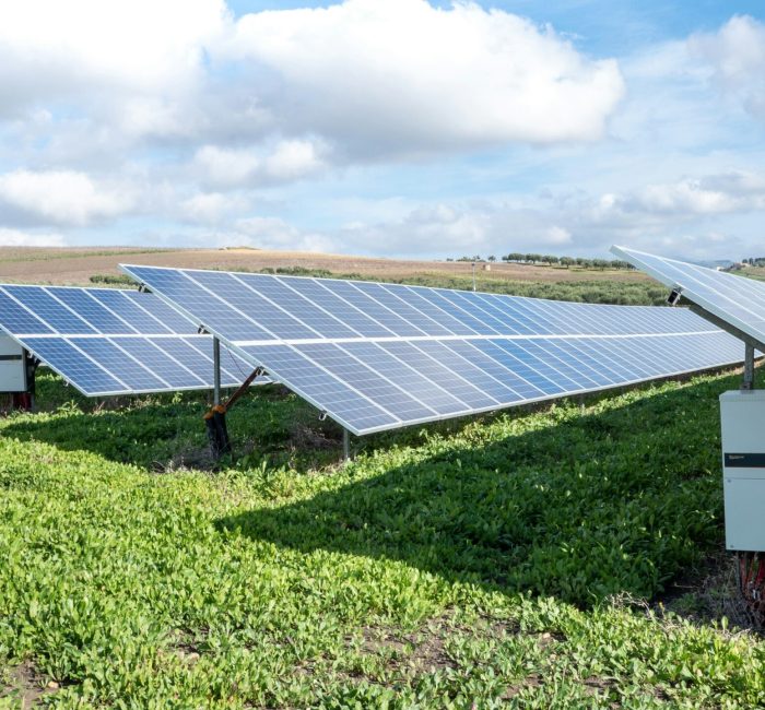 Photovoltaik-Boom in Deutschland: 1,95 GW Zubau im August 2025